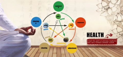 3 theories de la santé