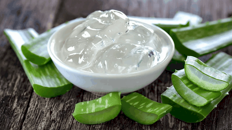 Pour profiter pleinement des bienfaits de l'aloe vera, il est important de choisir des produits de qualité, issus de l'agriculture biologique et sans additifs nocifs : Produits Forever Living certifiés. Gel d'aloe vera pur gel